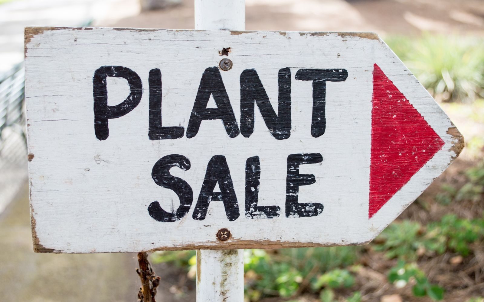 Plant sale