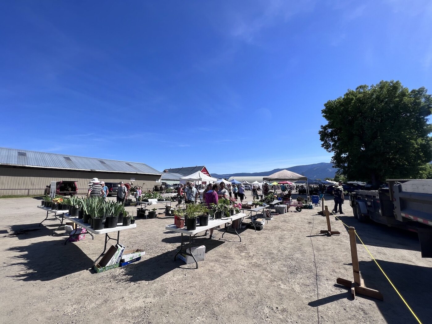 armstrong bc fairgrounds - farmers market