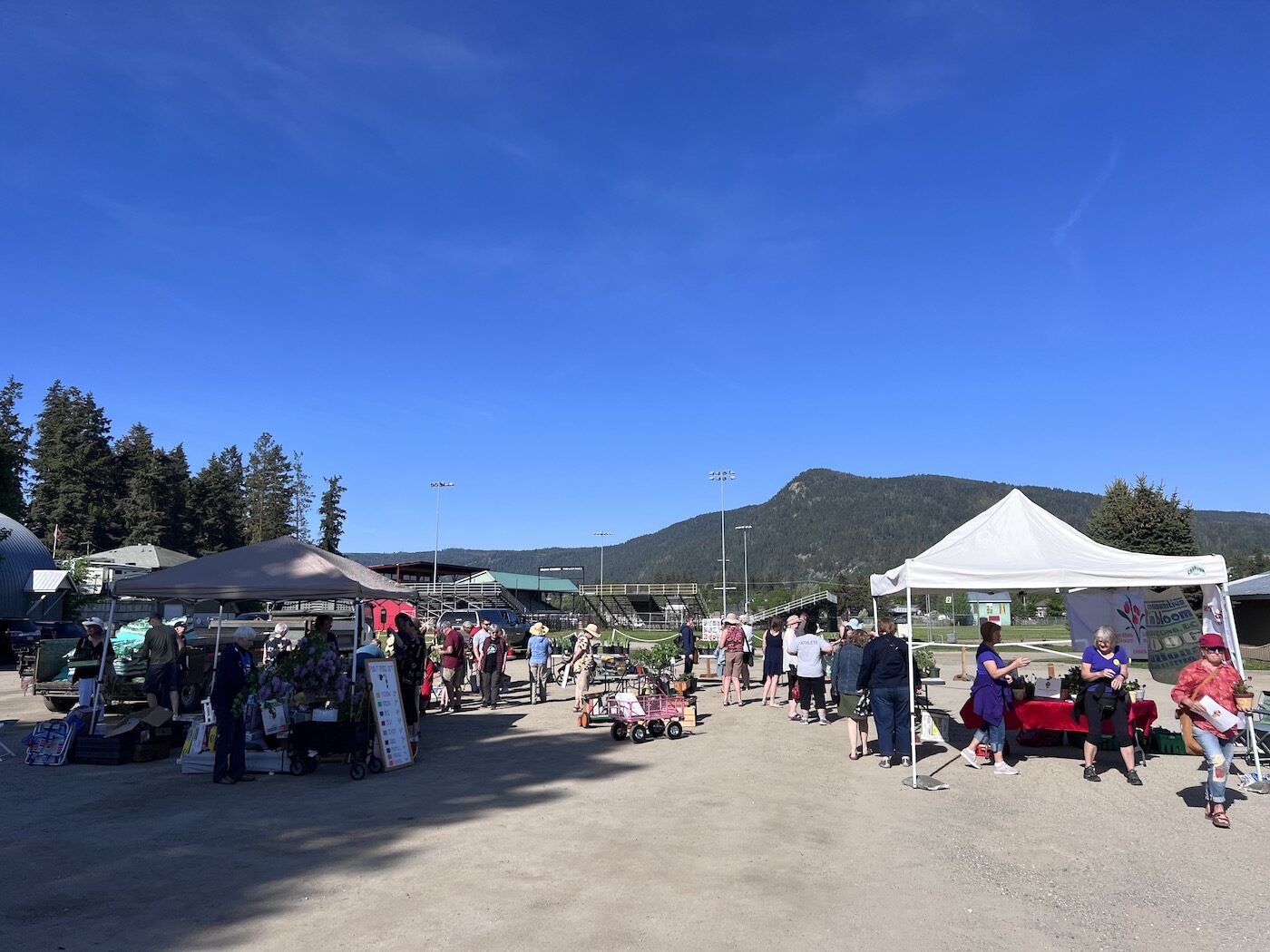 armstrong bc garden club
