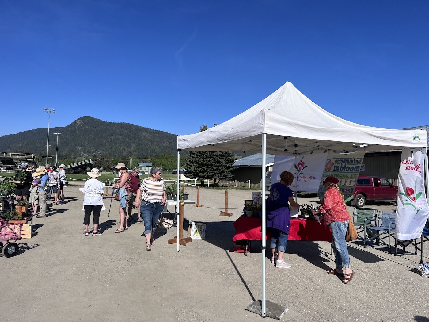 plant sale
