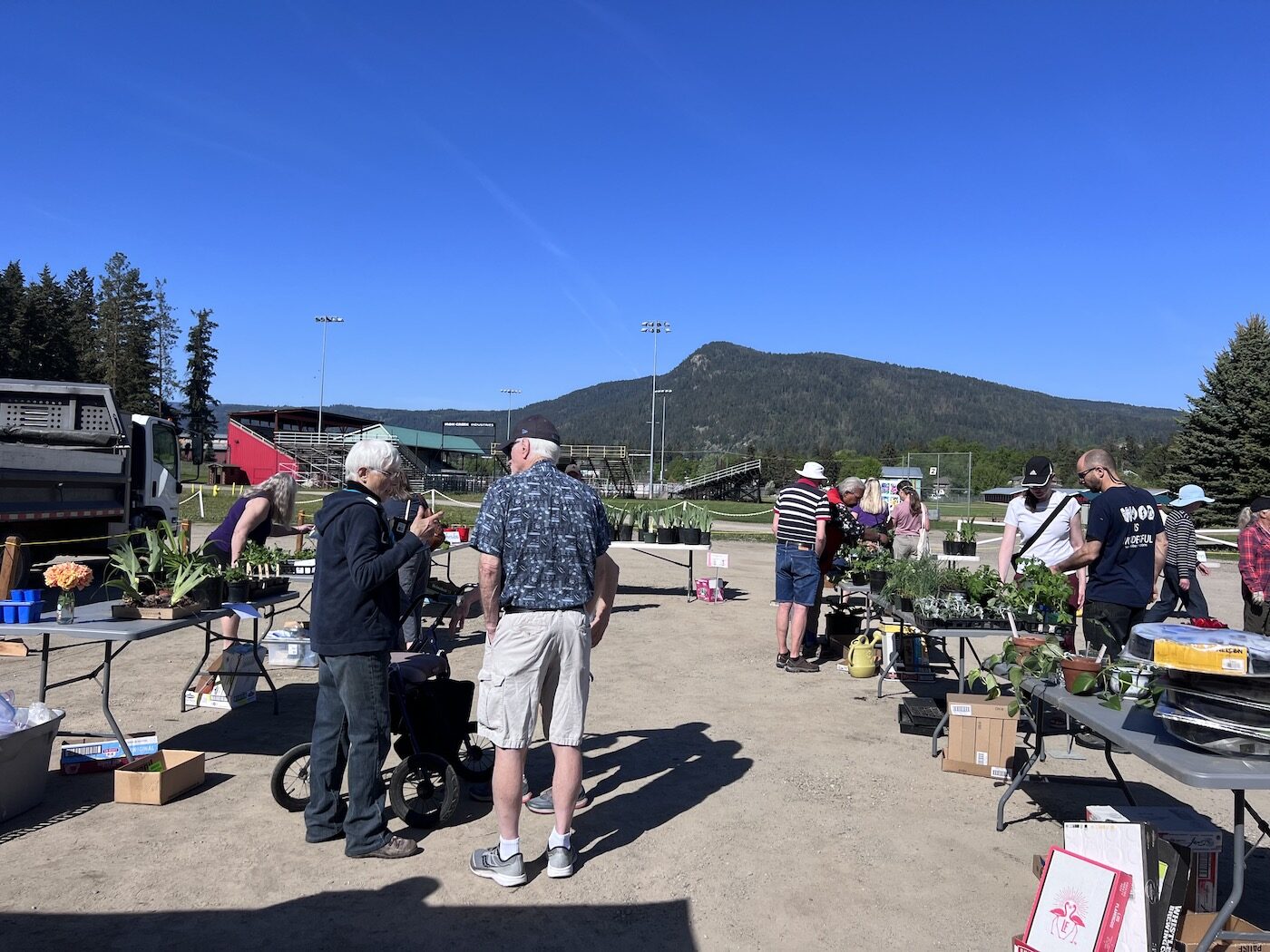 plants for sale from garden club