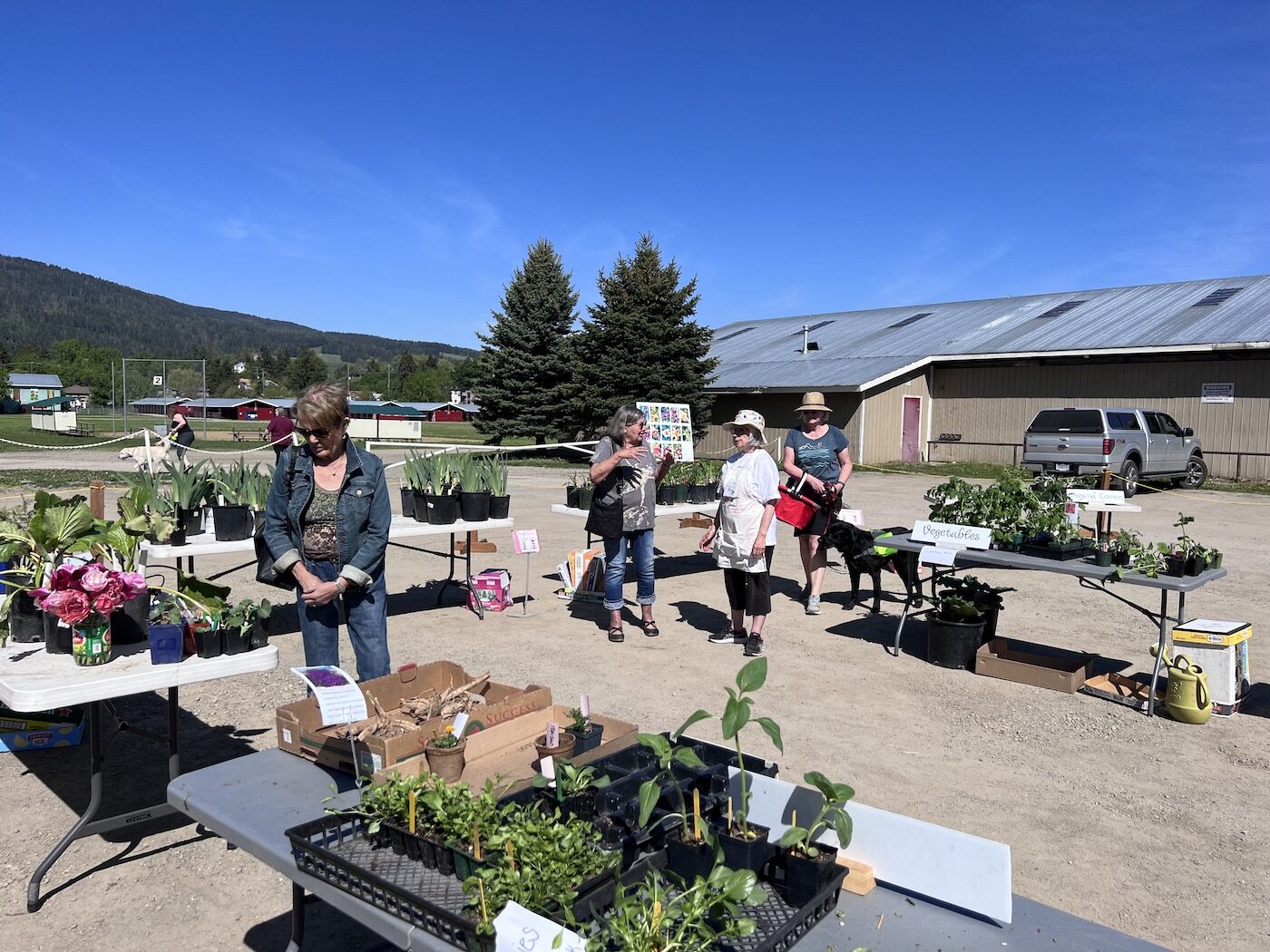 plants for sale in armstrong bc