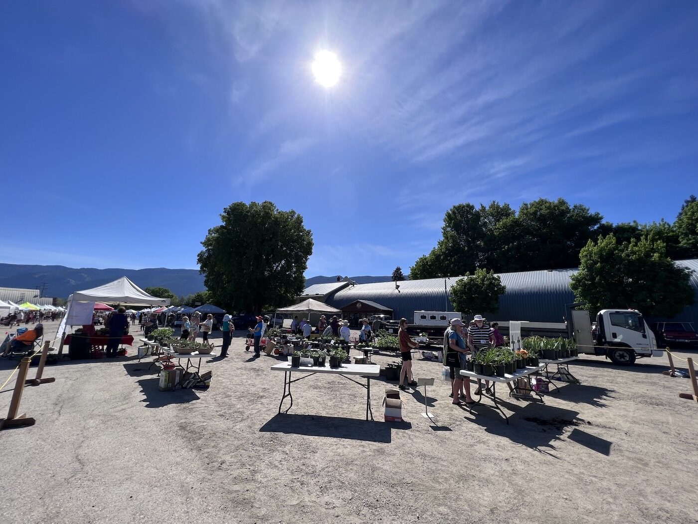 sunny day in armstrong bc canada